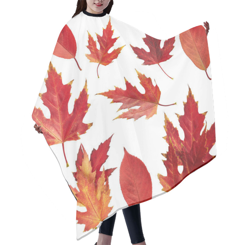 Personality  Autumn Red Leaves Hair Cutting Cape