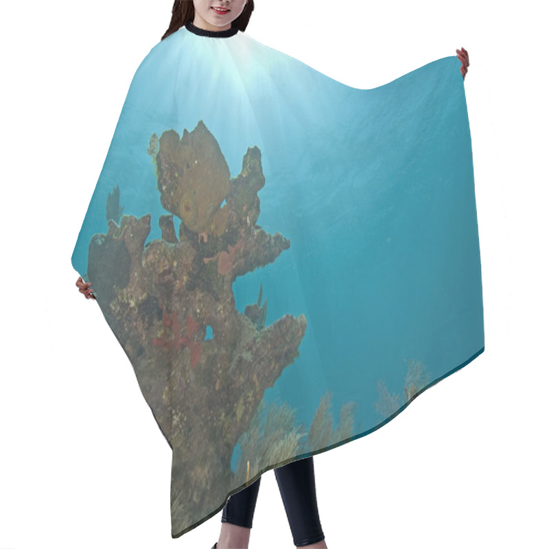 Personality  Tropical Reef Underwater Hair Cutting Cape