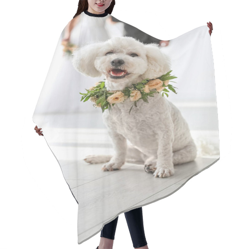 Personality  Adorable Bichon Wearing Wreath Made Of Beautiful Flowers On Wedding Hair Cutting Cape