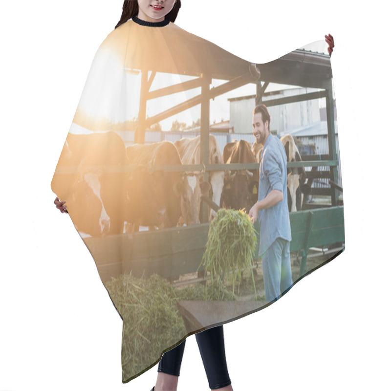 Personality  Smiling Farmer Unloading Hay Near Cows In Stall Hair Cutting Cape