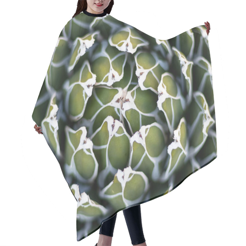 Personality  Agave Rosettes Texture Natural Background Hair Cutting Cape