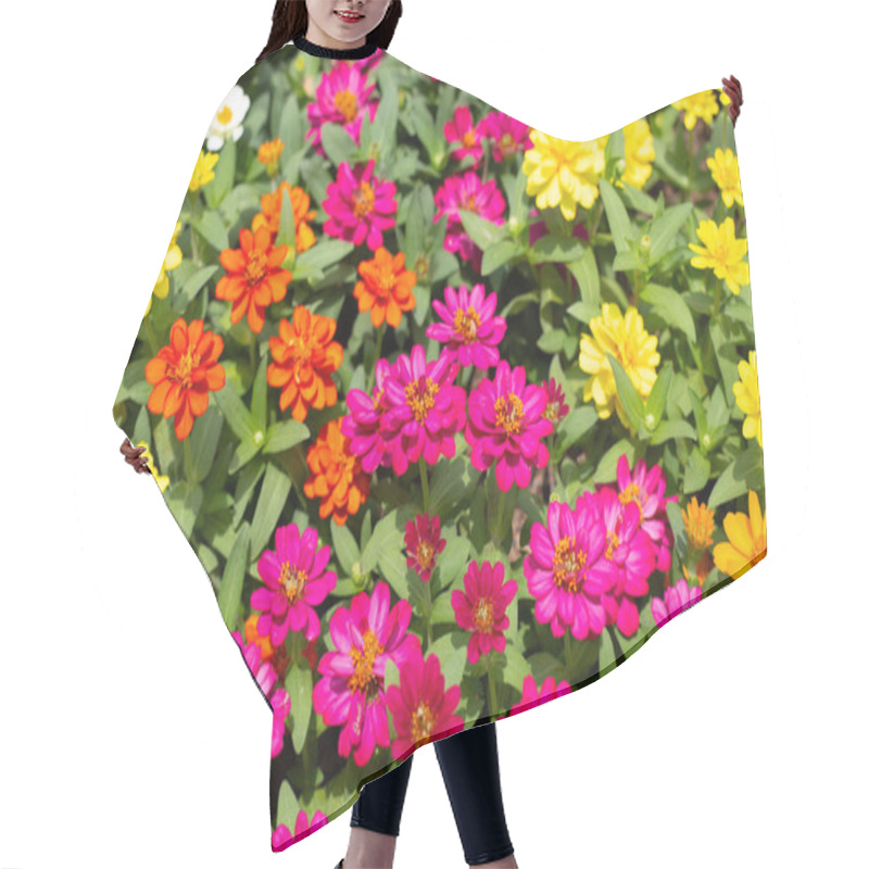 Personality  Zinnia Flower In The Garden Hair Cutting Cape