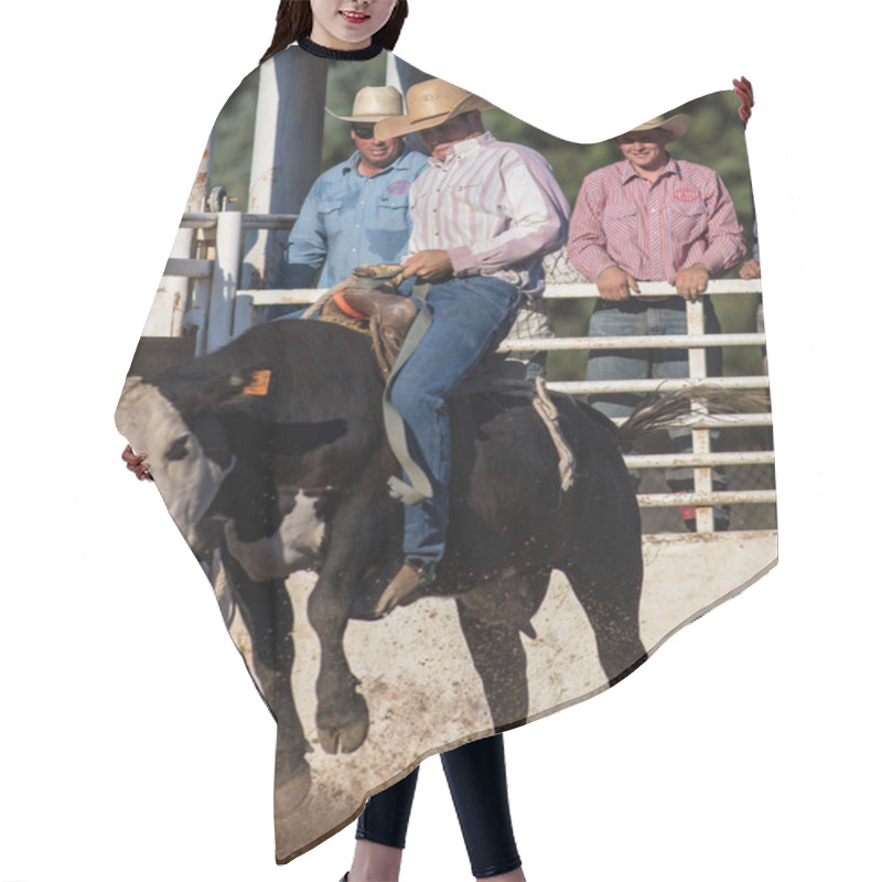 Personality  Scott Valley Bull Rider  Hair Cutting Cape