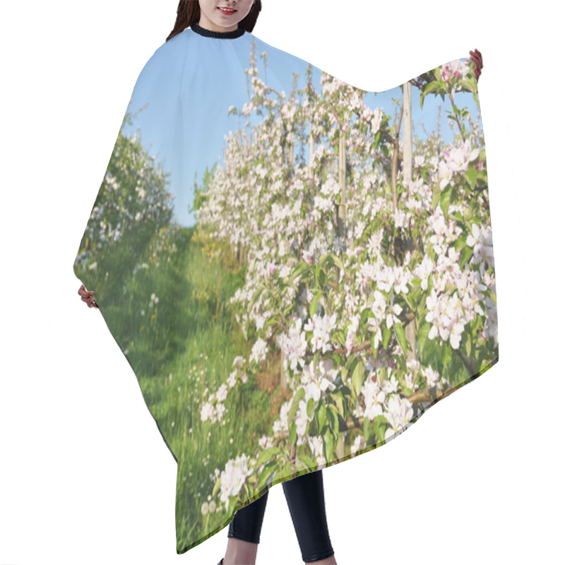 Personality  Apple Garden Blossom Hair Cutting Cape