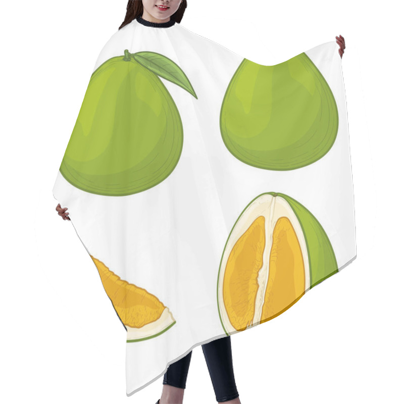 Personality  Green Pomelo Fruits Isolated On White Background. Vector Illustration In Cartoon Style. Hair Cutting Cape