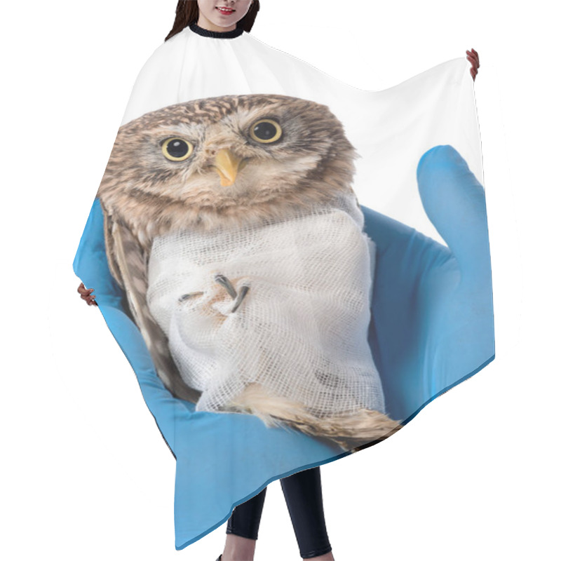 Personality  Cropped View Of Veterinarian Holding Wild Injured Owl Isolated On White Hair Cutting Cape