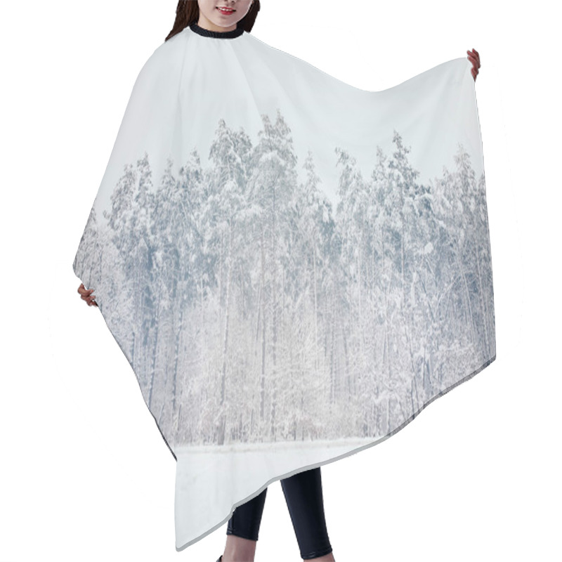 Personality  Scenic View Of Snowy Trees In Winter Forest Hair Cutting Cape