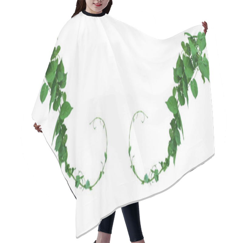 Personality  Vine With Green Leaves, Heart Shaped, Twisted Separately On A White Background Hair Cutting Cape