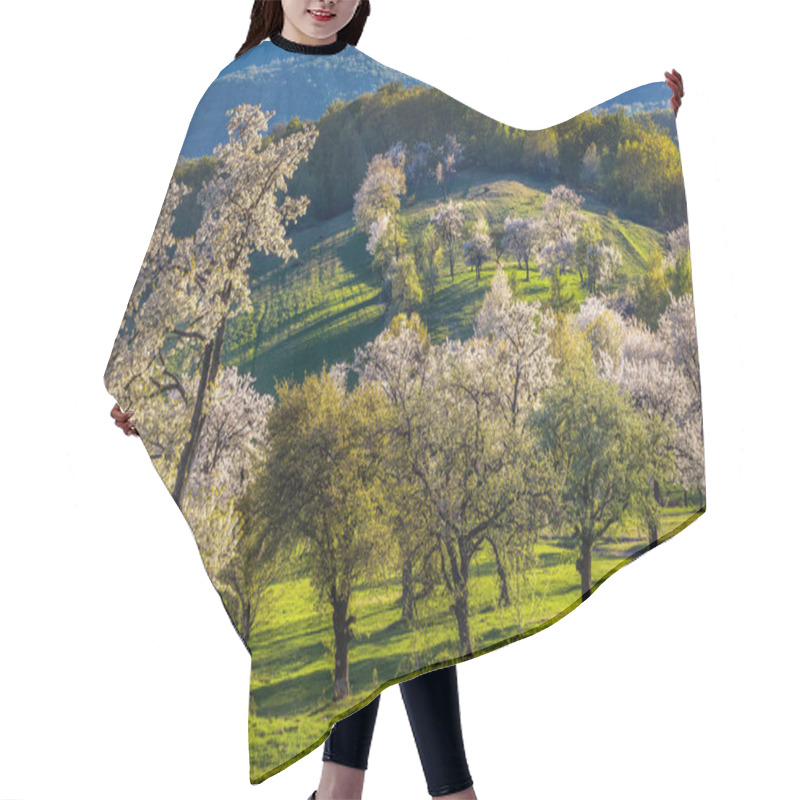 Personality  Morning Cherry Orchard In A Small Village In Slovakia Hair Cutting Cape