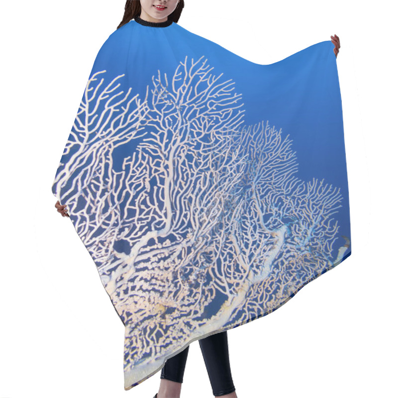 Personality  Coral Reef With Gorgonian On The Background Of Blue Water On The Bottom Of Tropical Sea, Underwater Landscape Hair Cutting Cape