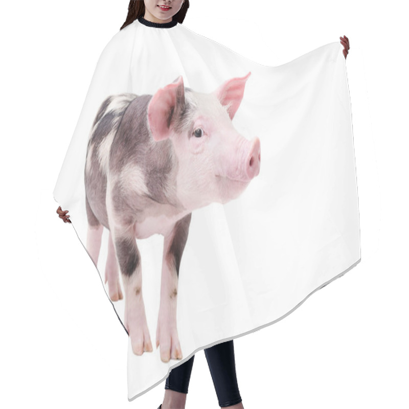 Personality  Funny Piglet Standing Isolated Hair Cutting Cape