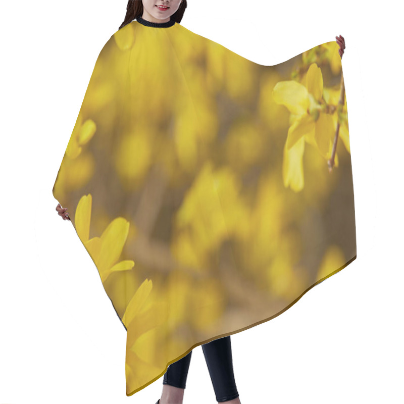 Personality  Close Up Of Yellow Blooming Flowers With Big Petals On Tree Branches Hair Cutting Cape