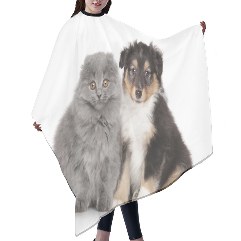 Personality  Puppy And Kitten On White Background Hair Cutting Cape