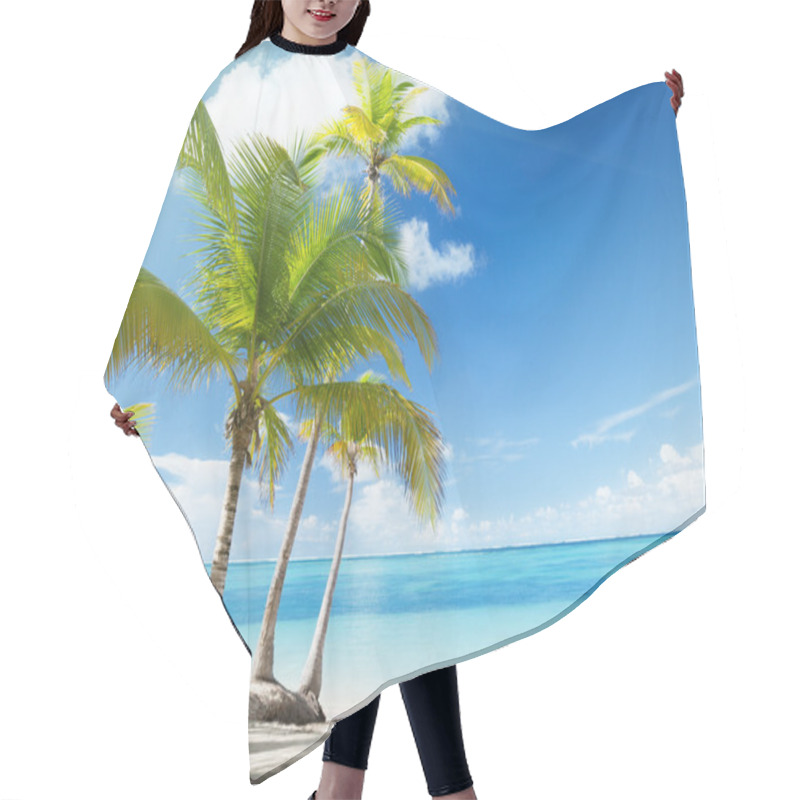 Personality  Caribbean Sea And Coconut Palms Hair Cutting Cape