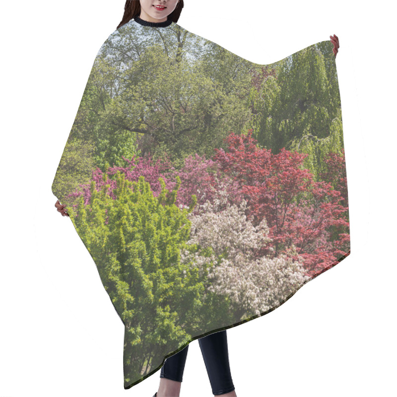 Personality  Beautiful Trees In The Spring Hair Cutting Cape