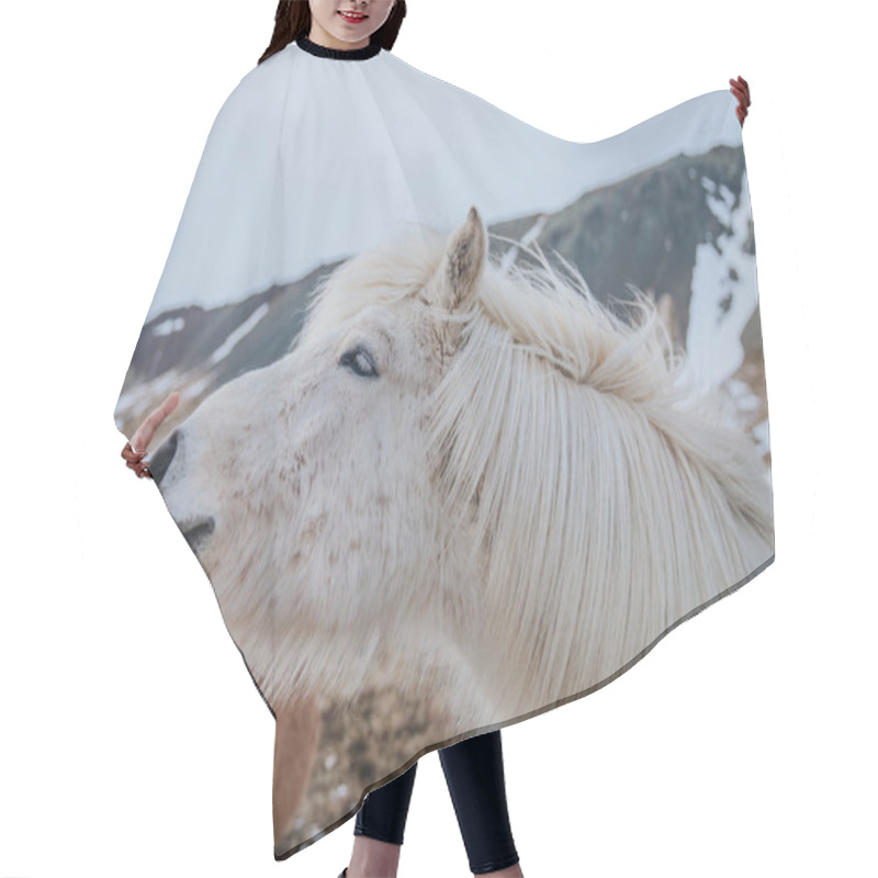 Personality  Person And Horse Hair Cutting Cape