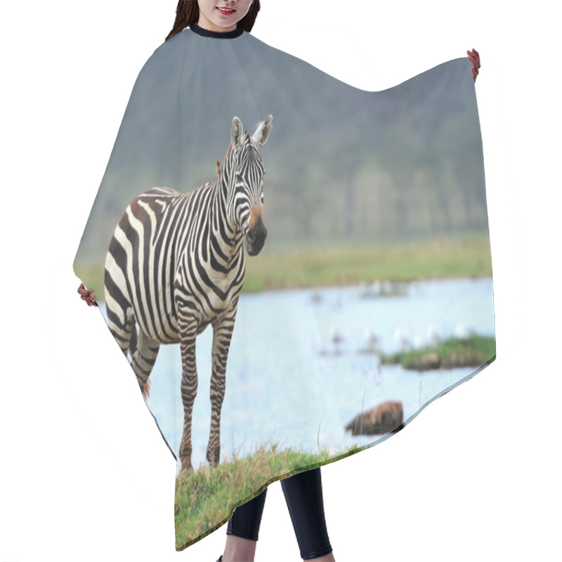 Personality  Zebra Hair Cutting Cape