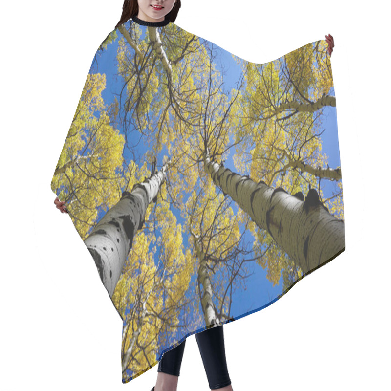 Personality  Looking Up At The Yellow Aspen Leaves Against A Blue Sky Hair Cutting Cape