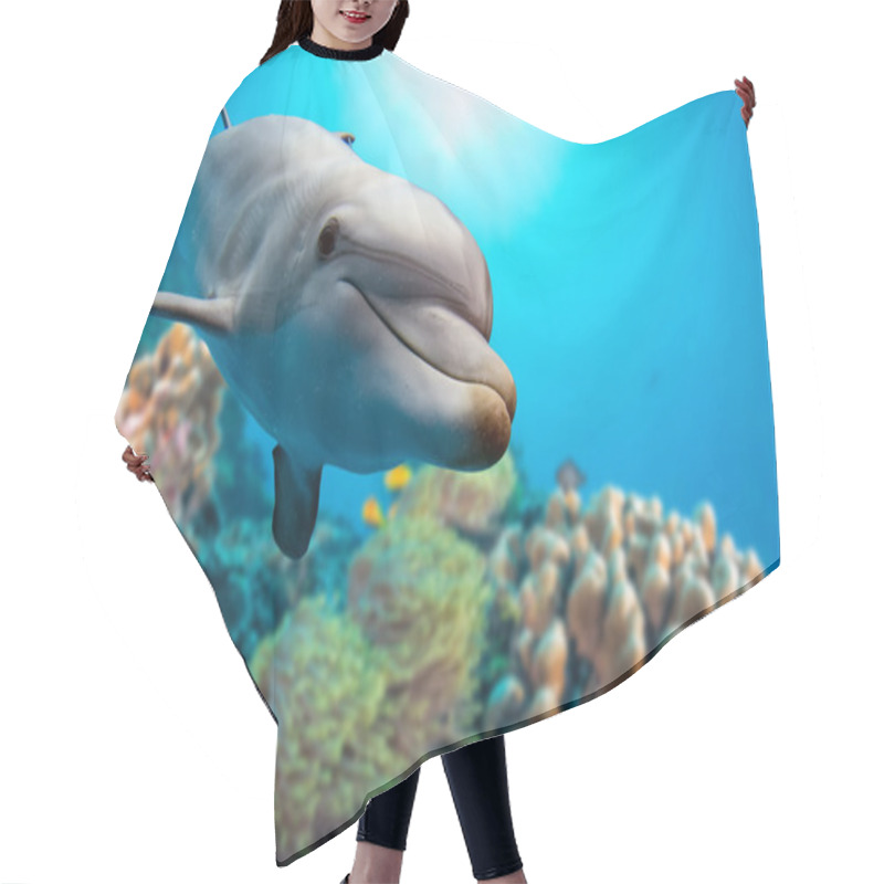 Personality  Dolphin Underwater On Reef Background Hair Cutting Cape