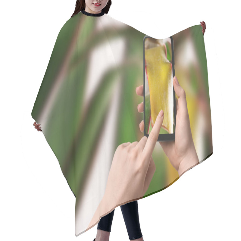 Personality  App For Finding Diseases Of Houseplants. Woman Looking On Damaged Leaf With Mobile Phone, Closeup Hair Cutting Cape