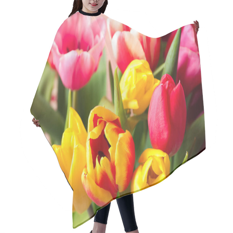 Personality  Beautiful Spring Tulips On Light Background, Closeup Hair Cutting Cape