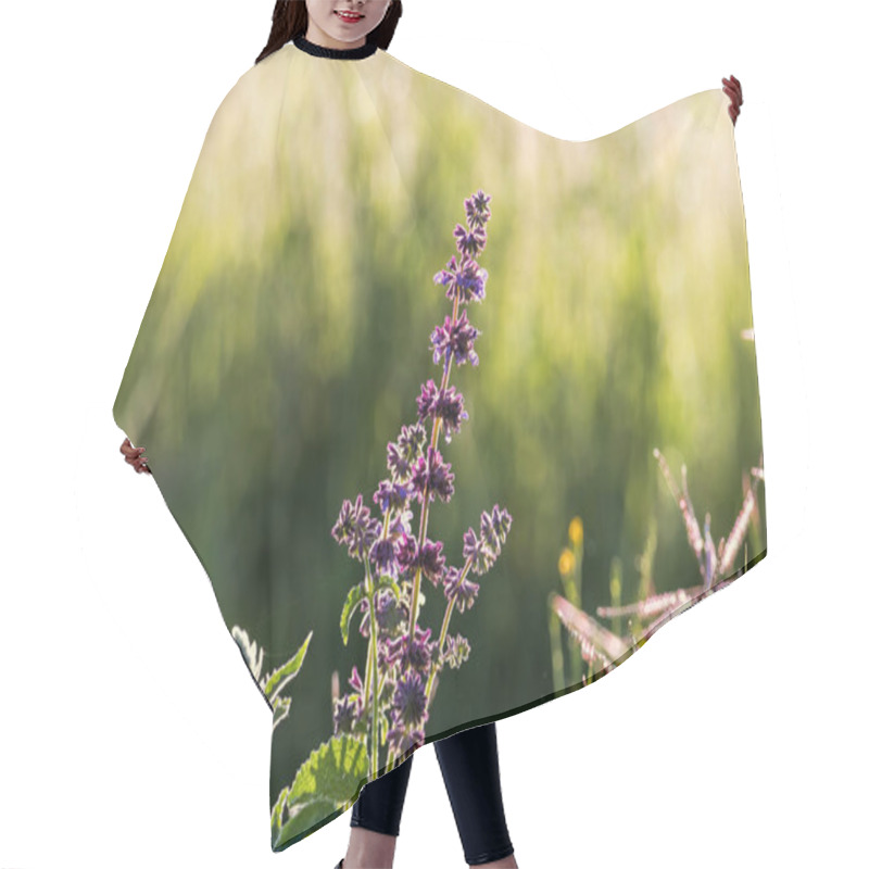 Personality  Wild Basil Plant Blooming In Spring Hair Cutting Cape