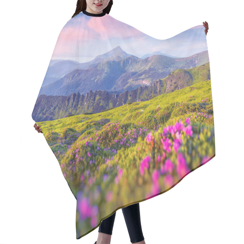 Personality  Pink Rhododendron Flowers In Mountains Hair Cutting Cape