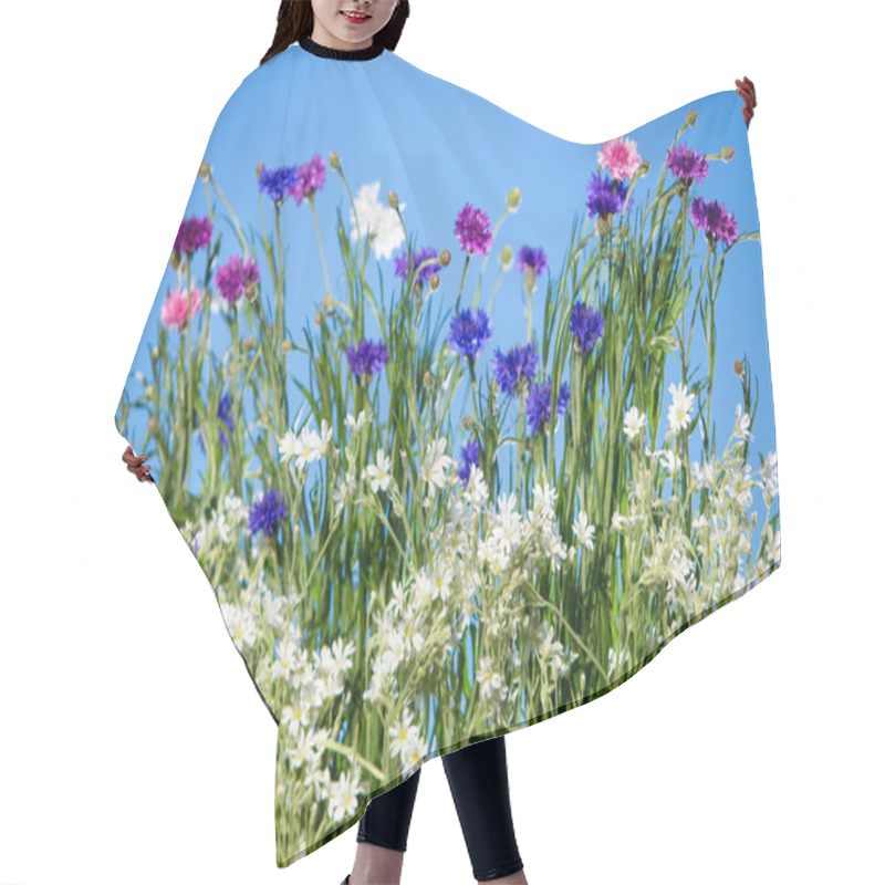 Personality  Wild Flowers Blooming Over Blue Sky Hair Cutting Cape