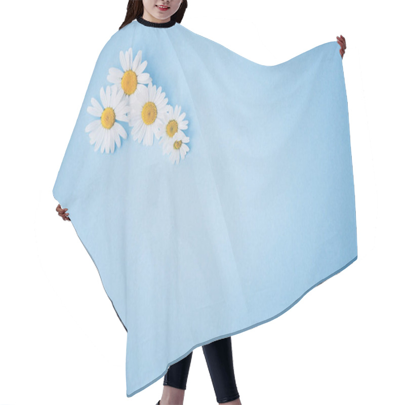 Personality  Daisies, Flowers, On Blue Wood - Background, With Text Space, Template, Design Hair Cutting Cape