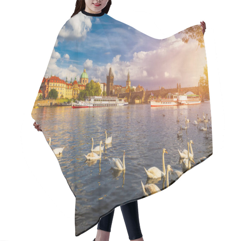 Personality  View Of Prague Charles Bridge Near The Vltava River. Swan On The River. Swans Swim In The Vltava River. Charles Bridge At Sunset. Prague Swans Of The Vltava River, Prague, Czech Republic Hair Cutting Cape