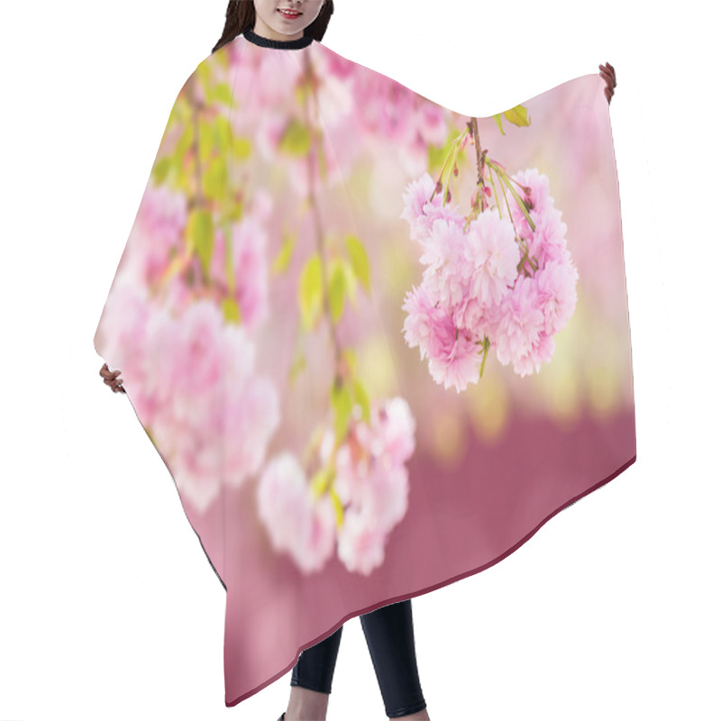 Personality  Pink Flowers Of Sakura Branches Above Grass Hair Cutting Cape