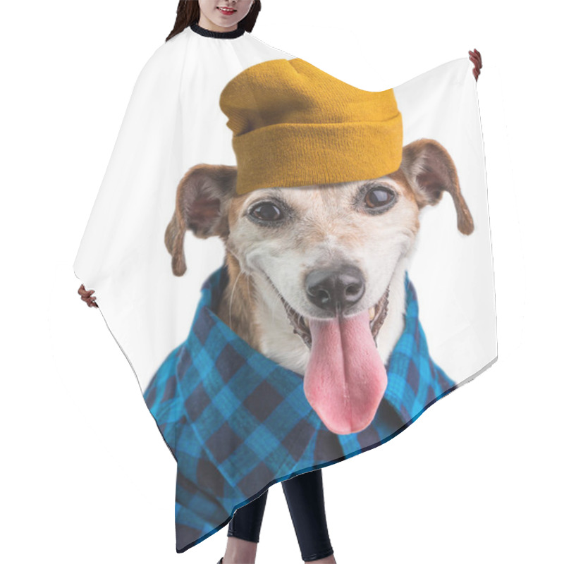 Personality  Hipster Dog In Blue Shirt And Yellow Beani Hat. White Background Hair Cutting Cape