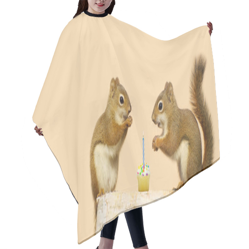 Personality  Birthday Squirrel. Hair Cutting Cape