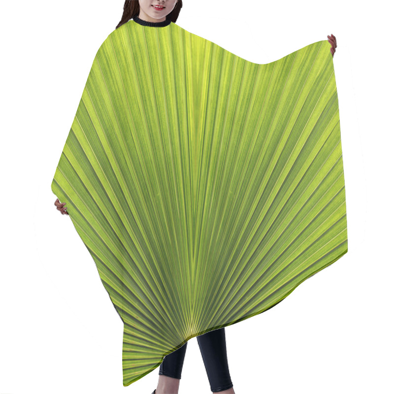 Personality  Palm Leaf Closeup With Symmetry And Lines Hair Cutting Cape