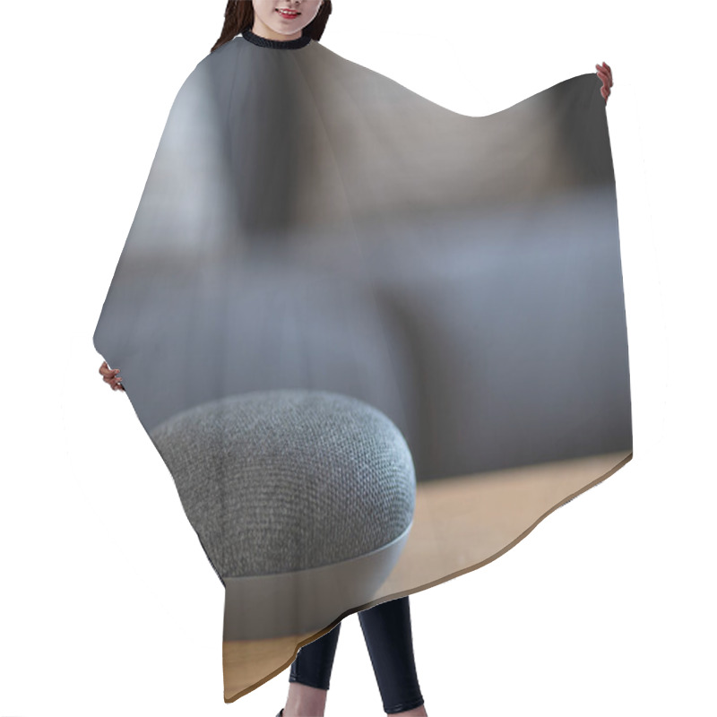 Personality  Smart Home Voice Activated Speaker Device In Living Room Lounge Hair Cutting Cape