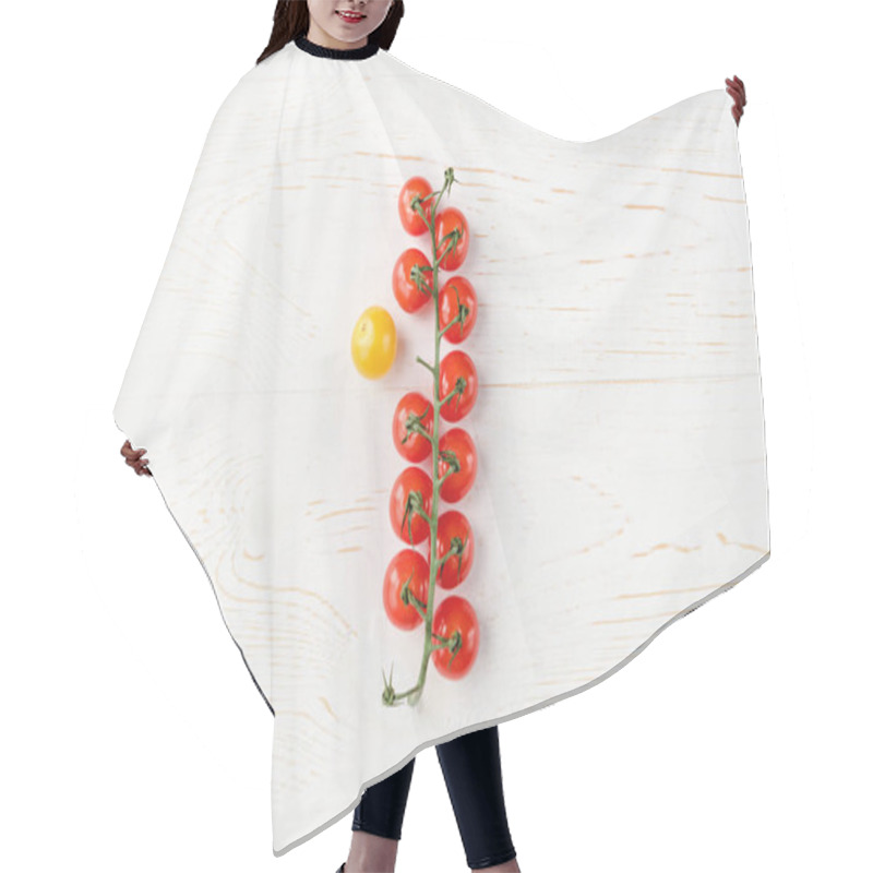 Personality  Fresh Ripe Tomatoes   Hair Cutting Cape