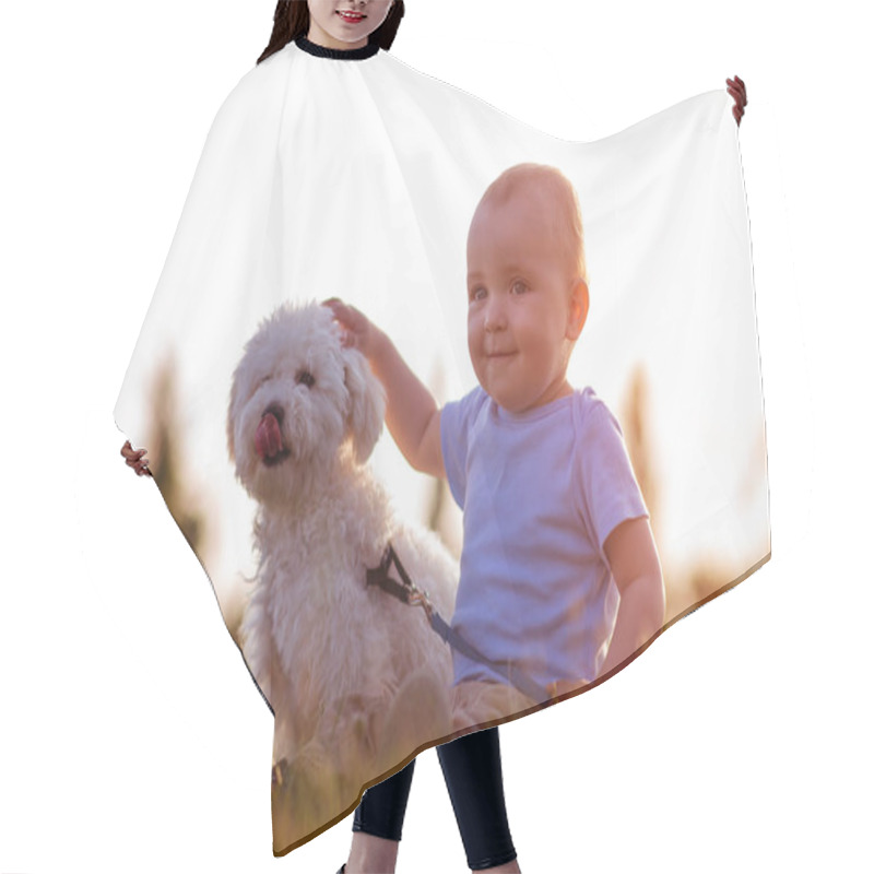 Personality  Boy Playing With His Dog Outdoors Hair Cutting Cape