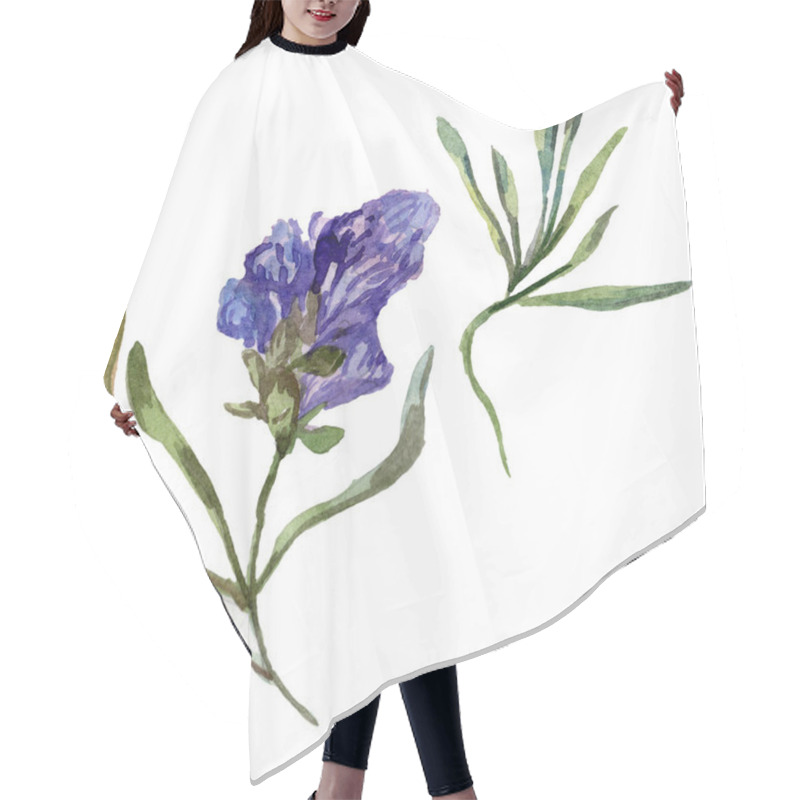 Personality  Purple Lavender. Floral Botanical Flower. Wild Spring Wildflower Isolated On White. Hand Drawn Lavender Flower In Aquarelle. Watercolor Background Illustration. Hair Cutting Cape