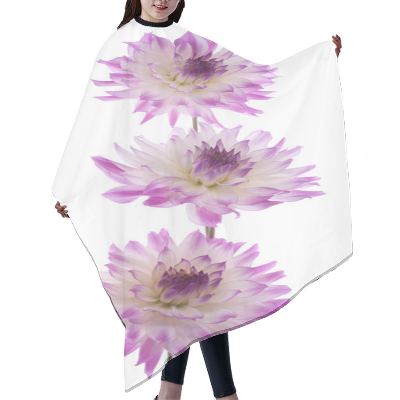 Personality  Dahlia Hair Cutting Cape