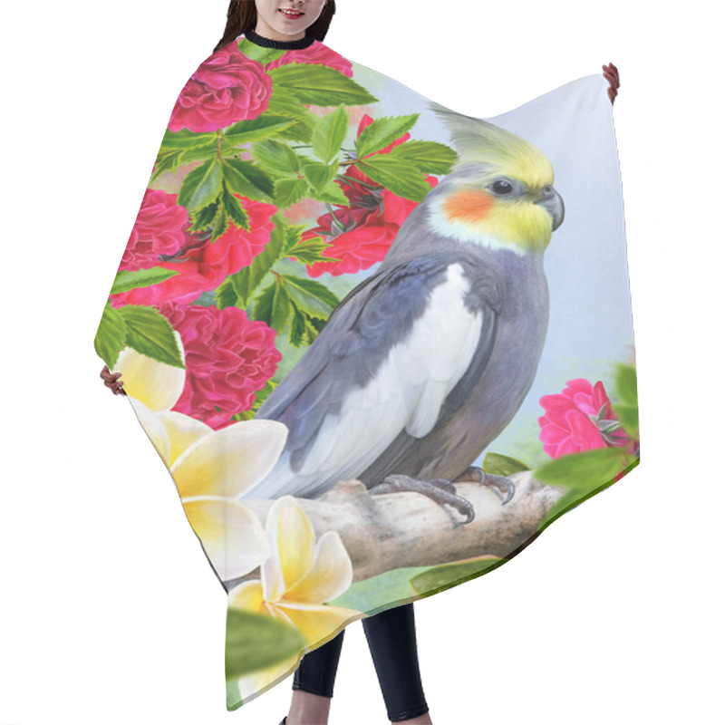 Personality  Bird Parrot Corella And White Flowers Plumeria, Frangipani Hair Cutting Cape