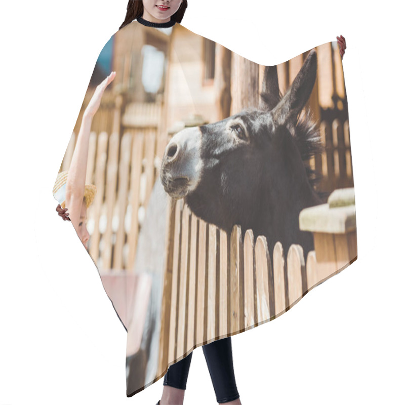 Personality  Cute Kid In Straw Hat Gesturing While Looking At Donkey In Zoo  Hair Cutting Cape