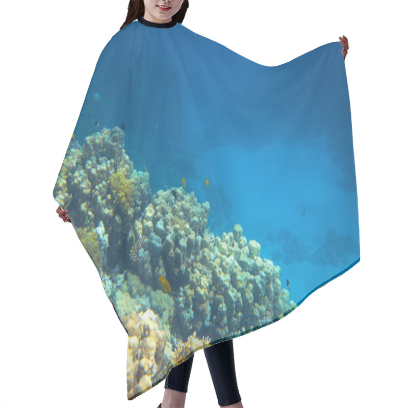 Personality  Beautiful Coral Reef Hair Cutting Cape