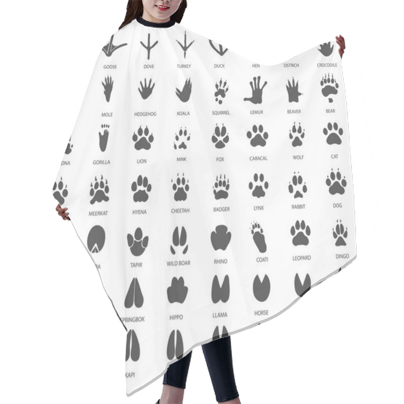 Personality  Vector Set Of Animal Tracks Hair Cutting Cape