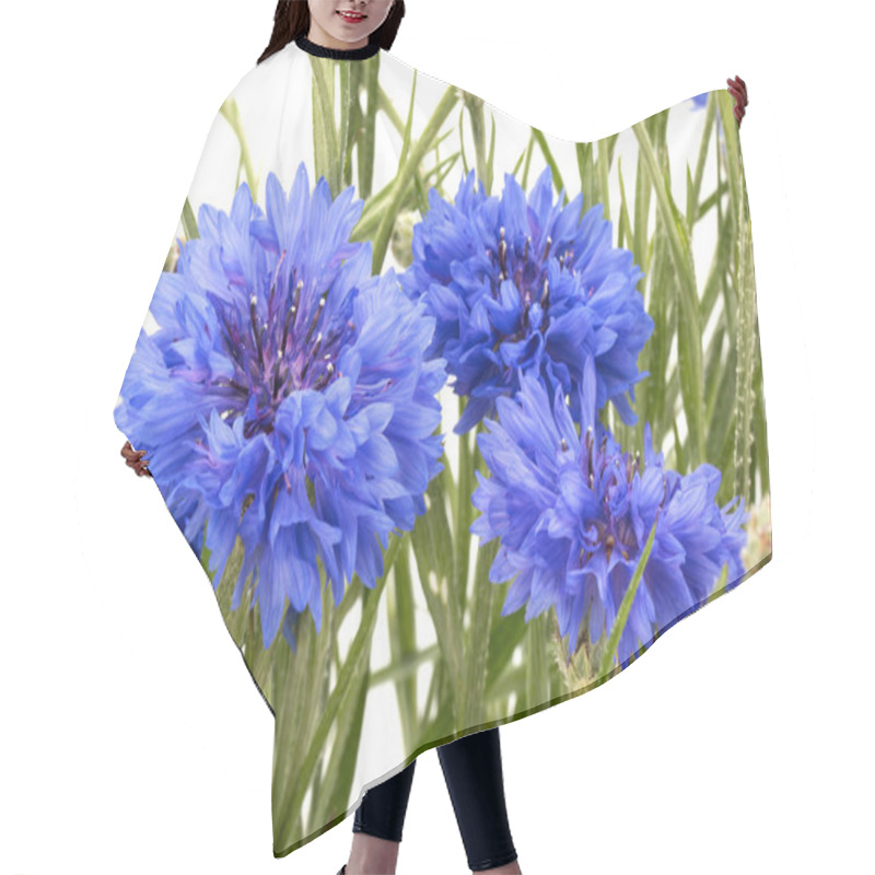 Personality  Blue Cornflowers Herb Hair Cutting Cape