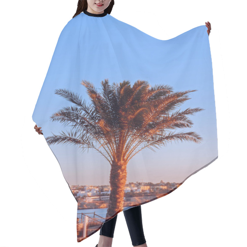 Personality  Palm Tree By Coastal City At Sunset Hair Cutting Cape