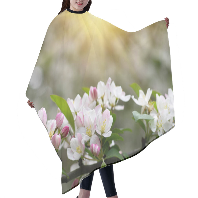 Personality  Blooming Apple Tree In The Spring Garden Hair Cutting Cape