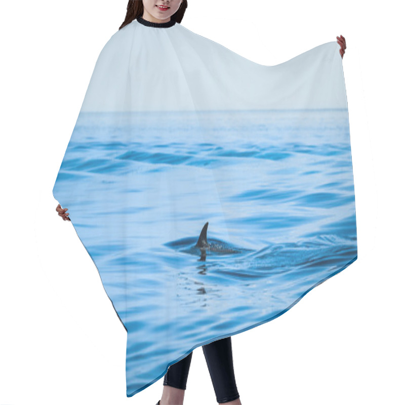 Personality  Fin Of A Shark Hair Cutting Cape