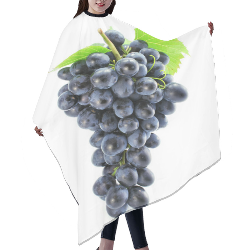 Personality  Cluster Of Blue Grape Isolated Hair Cutting Cape