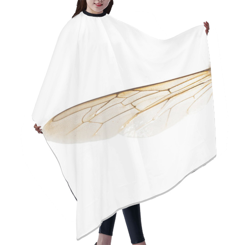 Personality  Bee Wing Hair Cutting Cape