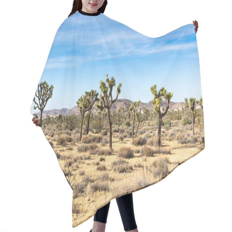 Personality  Yucca Palms And Rock Formation In Joshua Tree National Park, California, USA Hair Cutting Cape